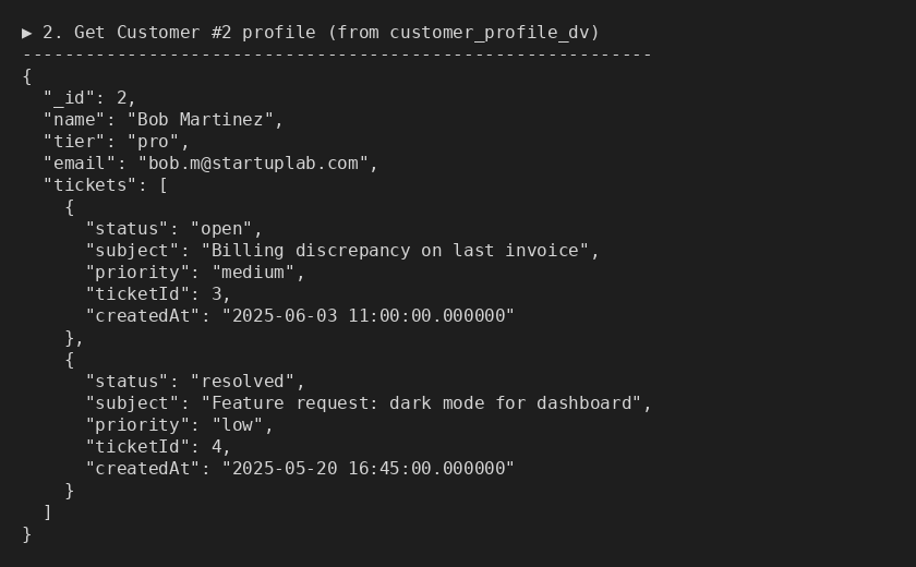 Customer Profile Duality View
